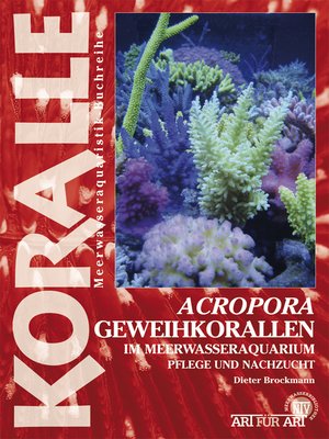 cover image of Acropora-Geweihkorallen im Meerwasseraquarium